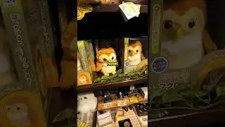 Possessed Owl In JAPAN Mocks Us 😂 | #shorts #viral #sampepperlive