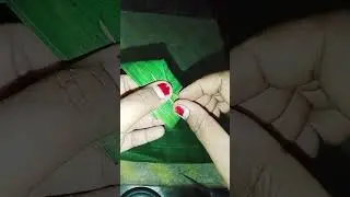 wrap using banana leaves