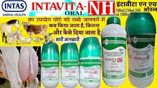 intavita nh intavita h uses in Hindi, vitamin h for cow, vitamin h for buffalo #intavitanh #milk