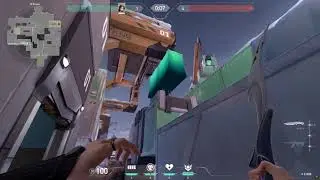 The best bug with the sage wall