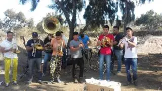 La Imponente Reyna de Guanajuato-La Cococha