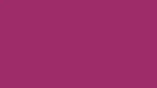 1 Hour of Festival Fuchsia Screen in 4K!