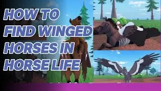 How to find winged horses | HORSE LIFE!!!
