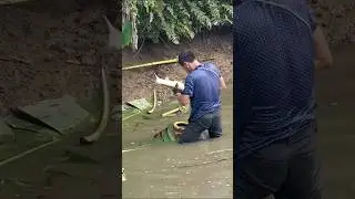 Unbelievable Fish Hunt in a Vietnamese Village Pond #fishing #shorts  #traditionalfishing #lake