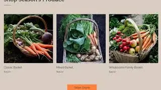 FRESH | ECOMMERCE WEBSITE TEMPLATE | GUARDIANS OF IT