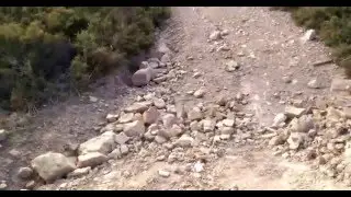 Trail - 3/08/2015 - Baltar