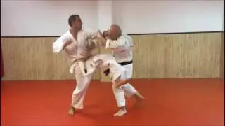 Jyu Kumite