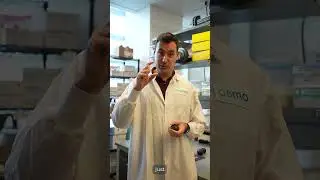 Scent Teleportation