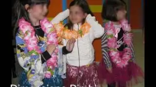Feste a Tema