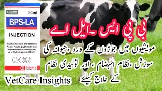 bps la inj, #selmore , مویشیوں میں جوڑوں کے درد،حیوانہ کی سوزش ،نظام انہضام اور تولیدی نظام کے علاج
