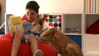 Meet Lachlan the Reading Dog...