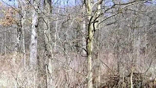Homes for Sale - 11690 W 143rd Ave Cedar Lake IN 46303 - Shelly Faber