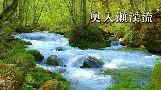 時空の栞　新緑  奥入瀬渓流　Oirase Gorge