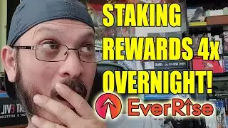 My EverRise Ver 2.0 Staking Rewards Have 4x Increase Overnight! EverRise Buyback Protocol