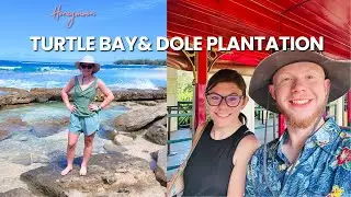 Day 5- TURTLE BAY & DOLE PLANTATION