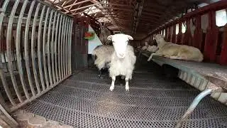 RAW Teigdalen