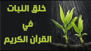 ليطمئن قلبي || خلق النبات في القرآن ألكريم 🌿🍀📖
