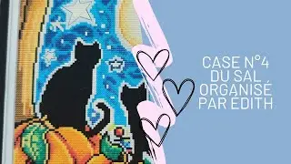 case du sal organiser par @LatelierdeDiditte #everydayecraft #sal #crossstitch