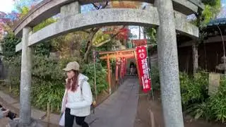 Tokyo citywalk Ueno Park Gojoten Shrine 360 4k