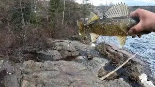 Spring Walleye fishing on the Eastmain River