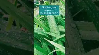 God is saying to you| Ezekiel‬ ‭34‬:‭26‬-‭27‬ ‭