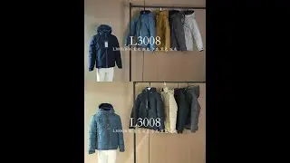 L3008