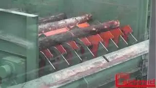 Firmengruppe Michael Schmidt S&auml;gewerktechnik - Hochleistungssortieranlage