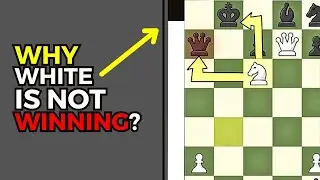 Chess Players do not Understand the Evaluation Bar