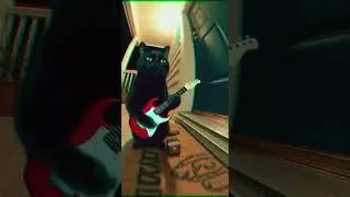 My cat's guitar solo interrupted my podcast 🎸😂