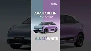 Dongfeng Box comes in a range of colours!