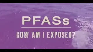 6. PFASs: How Am I Exposed?