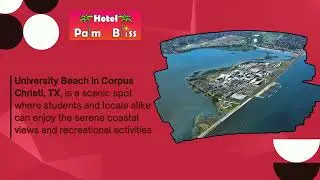 Explore Corpus Christi's Hidden Gems | Stay at Palm Bliss Hotel