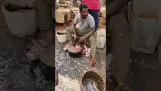 Cheediga Fish Market| P johnsi| Kakinada