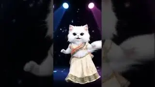 Patli Kamariya Song Billi Dance 🐱 | Funny Cartoon Cat Video Shorts 2025
