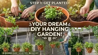 ​How to Start Your Own Hanging Garden 