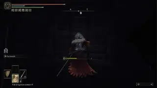 ELDEN RING, primera partida cap 36