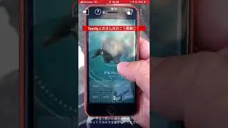 先月の撮影した紹介忘れ色違い28匹目❤️今年363匹目（コミュデイ除く）、記念、記録動画🎥【ポケモンGO】#shorts #pokemon #shiny