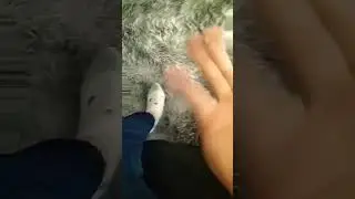 no puedo en el 3 am queria aigua