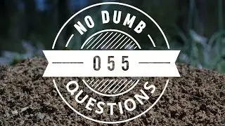 No Dumb Questions 055 - Internet Manipulation and Countermeasures