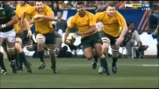 Wallabies Rugby [Tribute]