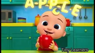🐱🐶 CAT DOG SUN! Easy Spelling Song for Kids @Tiny Learners