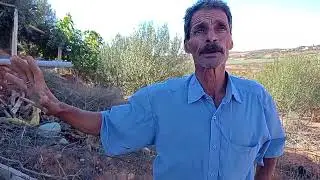 نداء عائلة زروقي🤝🏻