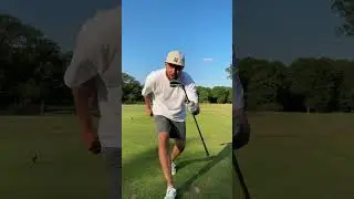 TIGER blades VS FOWLER blades #golf #golfbidder