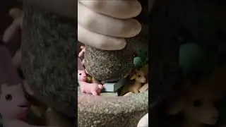 ASMR Clay Baby Goats & Chalk | Satisfying Crushing & Mixing