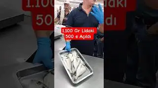 1.100 Gr Lidaki 500 #balıkmezatı #balık #mezat #fish #deniz #fishing #seafood #izmir #keşif #lidaki