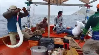 Charna iceland fishing jera