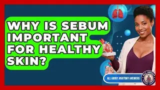 Why Is Sebum Important For Healthy Skin? - All About Anatomy Answers