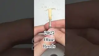 First reed of 2025 #oboe #reeds #music #orchestra #classicalimusic