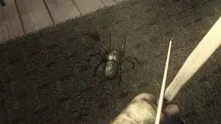 CoJ spiderbug