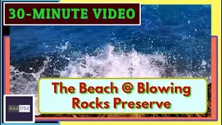 Natural Sound: The Beach @ Blowing Rocks Preserve